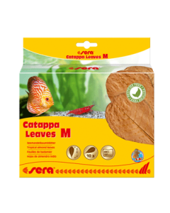 Sera Catappa Leaves M 16-20 cm 