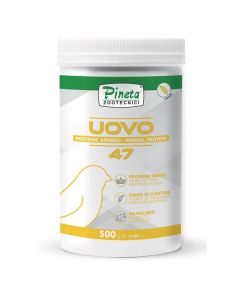 Proteína de Huevo 47% 500gr pineta