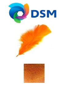 Betacaroteno DSM 50gm