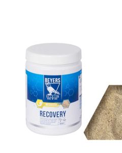 BEYERS RECOVERY 600 GR
