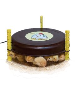 Calefactor pollitos Nanny Hen 18wt