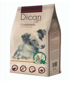 DICAN UP CROSS BREEDS  14 Kg