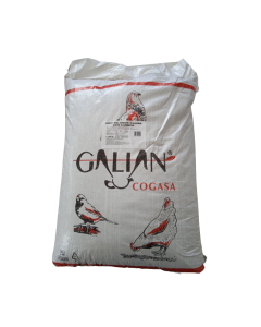 GRIT PALOMOS GALIÁN CON CARBON 20 KG