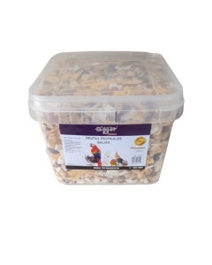 FRUTAS TROPICALES 5 KG GALIAN CUBO