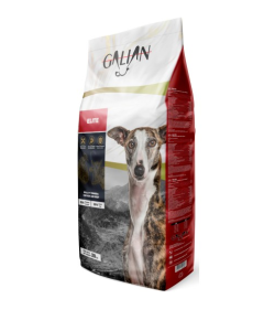 GALIAN DOGS ELITE SACO 20 KG