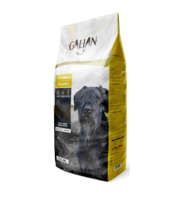 GALIAN DOGS HIGH ENERGY SACO 20 KG