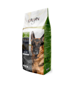 GALIAN DOGS HIGH MAINTENANCE 20 KG