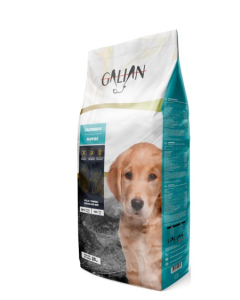 GALIAN DOGS PUPPIES 20 KG