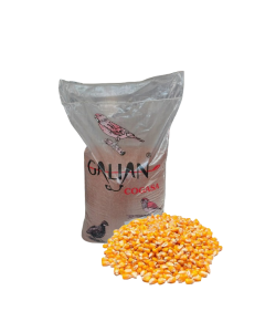 MAIZ PALOMITAS POP CORN 22KG