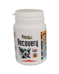 Prowins Recovery Caps 100 capsulas
