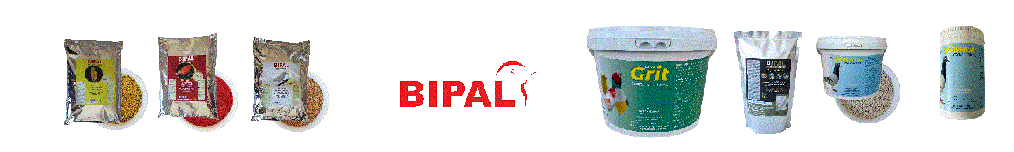 BIPAL