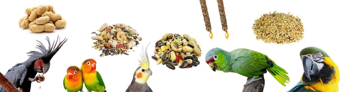 Alimentación para Loro Alimentación para Loro