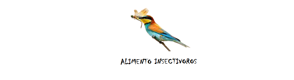 comida insectivoros