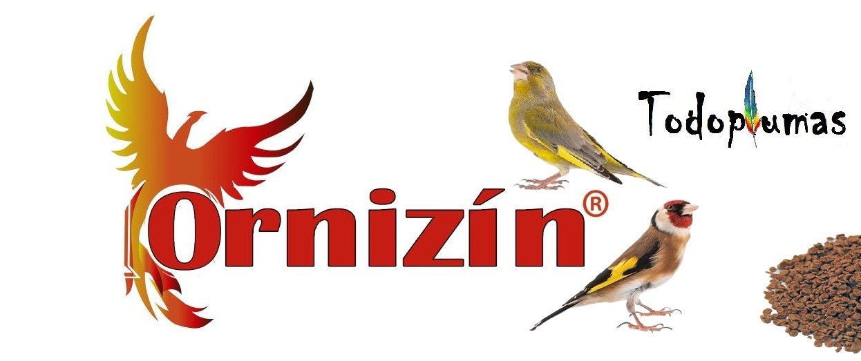 ORNIZIN