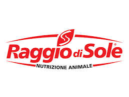 RAGGIO DI SOLE